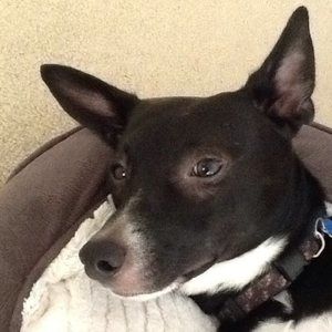 Meet your Posher, Margie